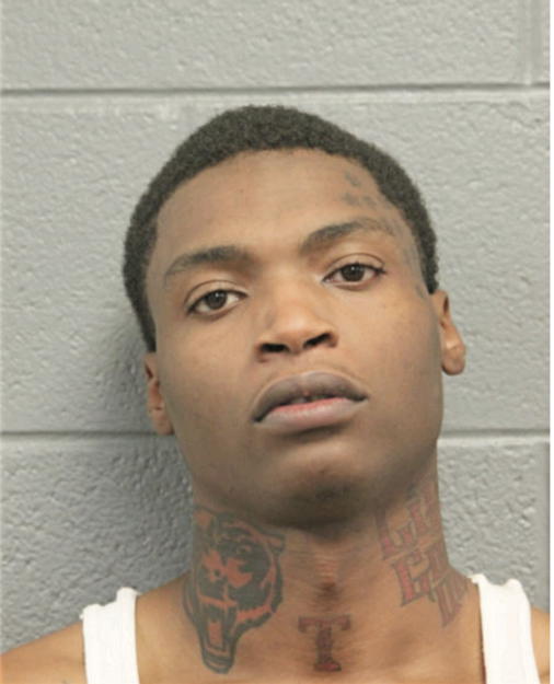 BRIAN J WASHINGTON, Cook County, Illinois