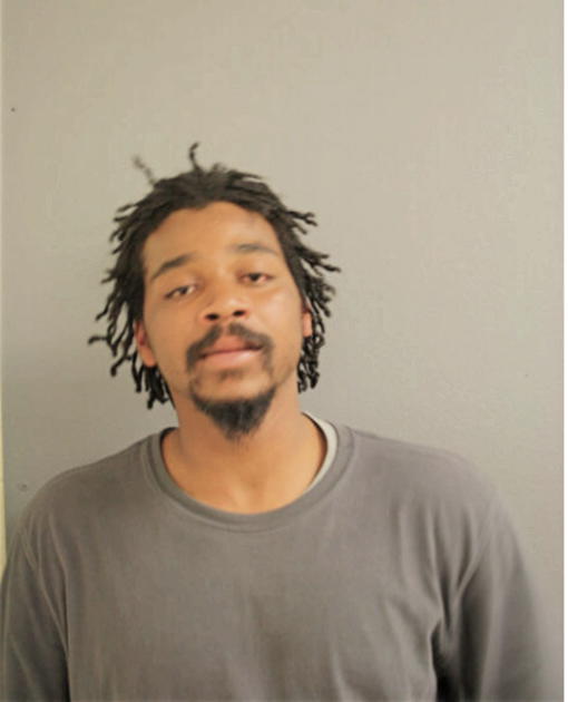 WALTER B WILLIAMS, Cook County, Illinois
