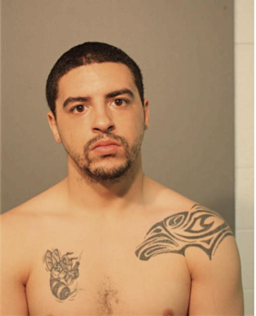 BRANDON R WOLF, Cook County, Illinois
