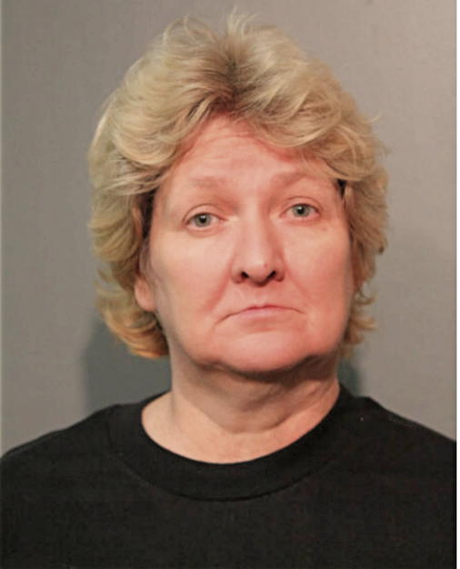 DONNA J ZYNIEWICZ, Cook County, Illinois