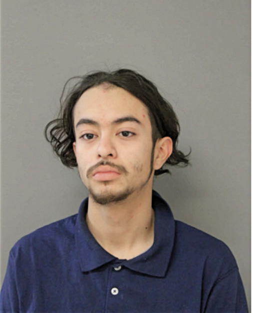 SAUL AVILES, Cook County, Illinois