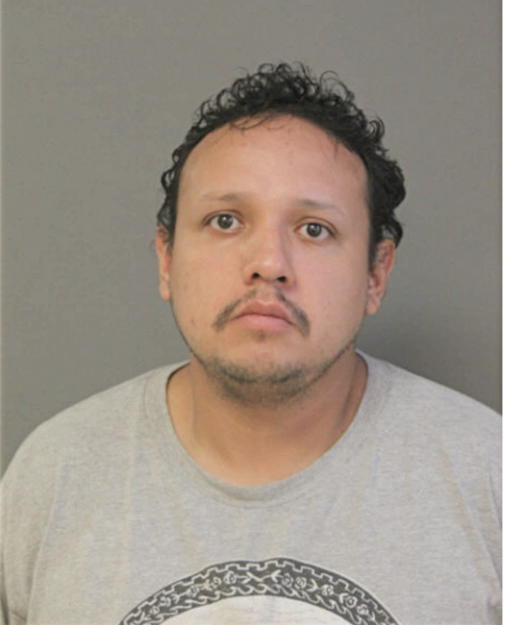 BRADLEY A BELILLE, Cook County, Illinois