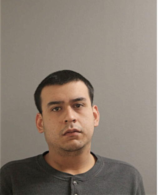 BRYAN BELTRAN, Cook County, Illinois