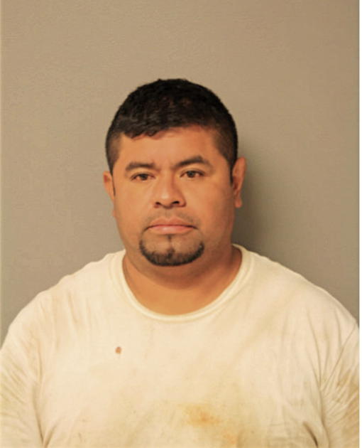 LUIS EMILIO BRAVO, Cook County, Illinois