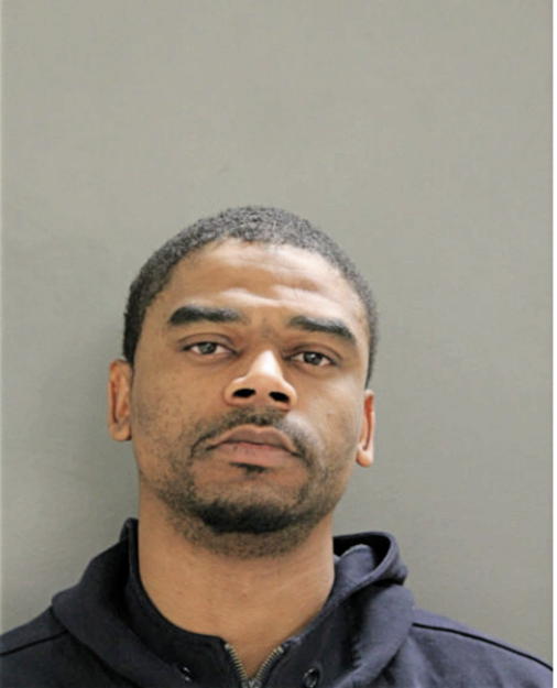LENARIS D BROWN, Cook County, Illinois