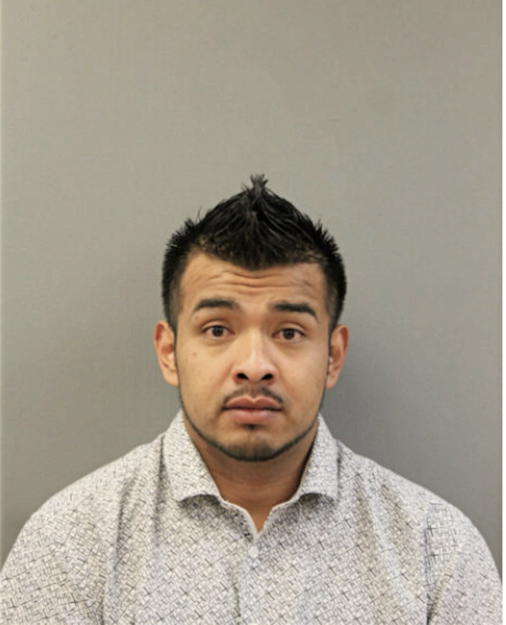 ERICK A CAMPEANO-MENDOZA, Cook County, Illinois