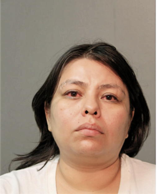 ADRIANA E CHAVEZ, Cook County, Illinois