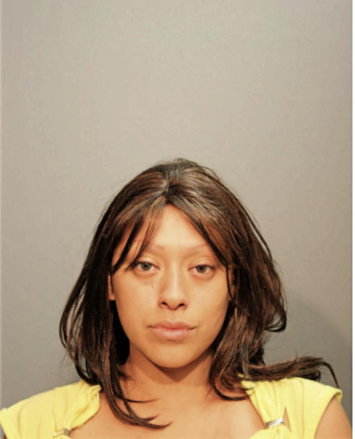 ELVIRA DELGADO, Cook County, Illinois