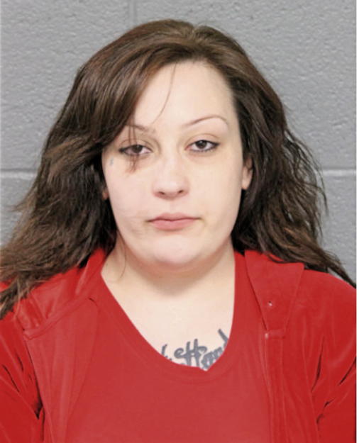 MONICA N DREWNOWSKI, Cook County, Illinois
