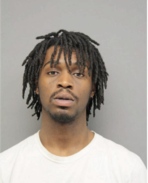 ARIEUS L FITCH, Cook County, Illinois