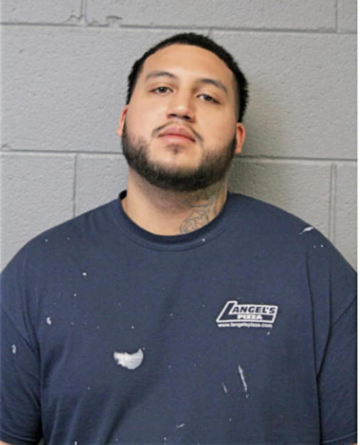 DANNIEL GAMEZ, Cook County, Illinois