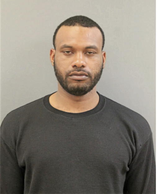 LAVONTA T GEORGE, Cook County, Illinois