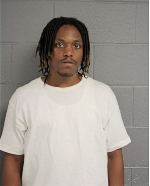 BRYAN A GILLESPIE, Cook County, Illinois