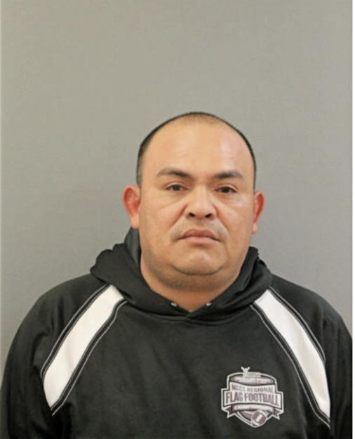 WILFREDO A HERNANDEZ, Cook County, Illinois
