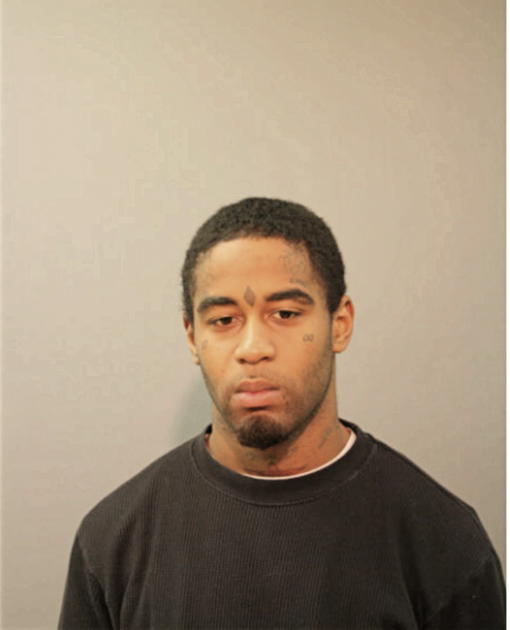 LESHANNON HINES, Cook County, Illinois