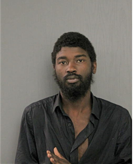 LARON T HOLT, Cook County, Illinois