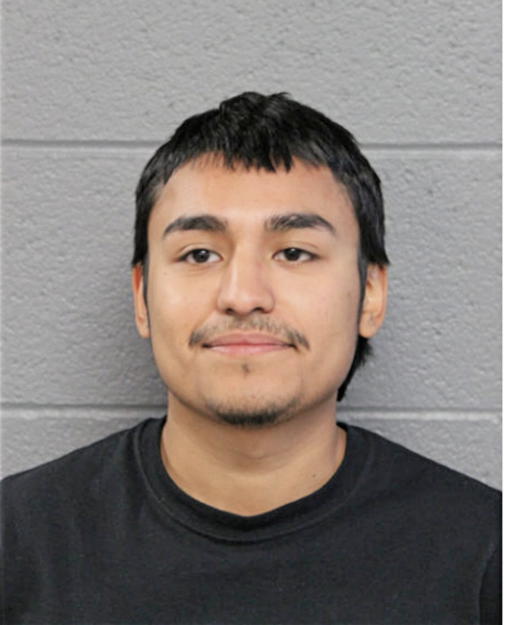 LUIS J JIMENEZ, Cook County, Illinois