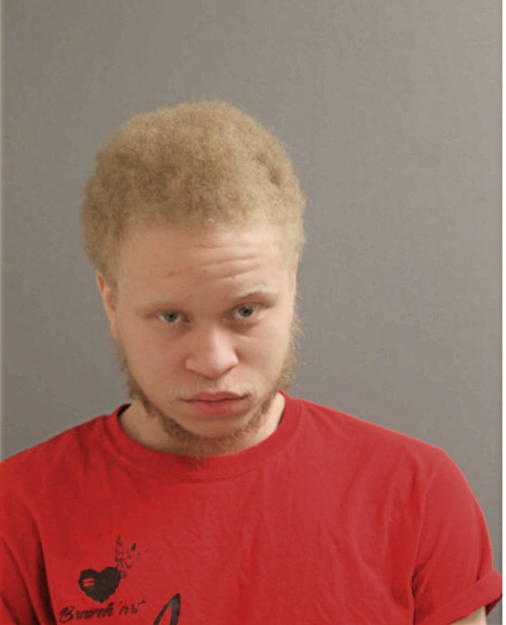 RAISHON KING, Cook County, Illinois