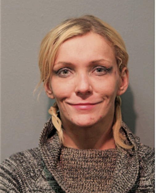 SYLVIA LISOWSKA, Cook County, Illinois
