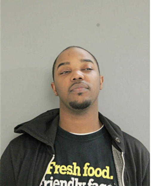MARK Q LOWE, Cook County, Illinois