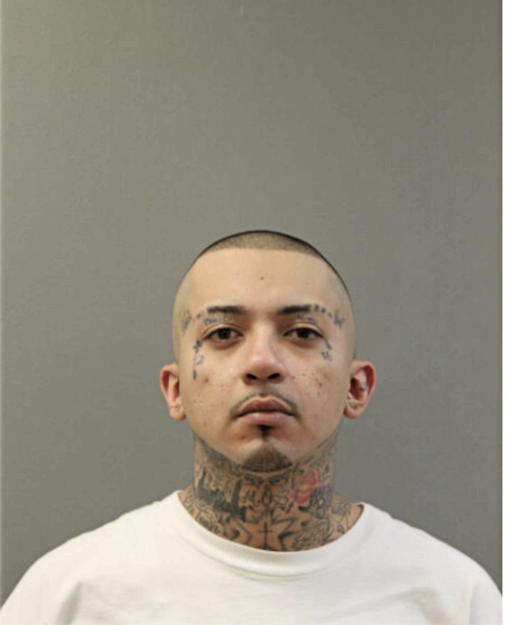 JOSE L LUCIO, Cook County, Illinois