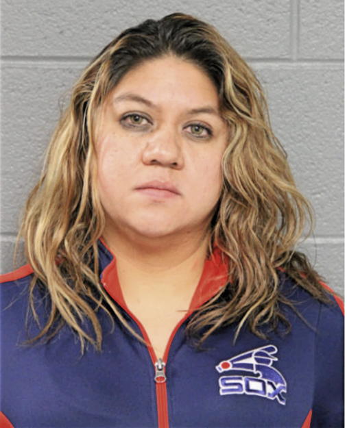 BRANDY C MEGLOSA, Cook County, Illinois