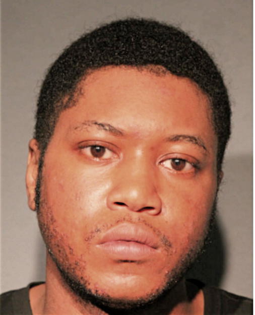 DIONTE L NORMAN, Cook County, Illinois