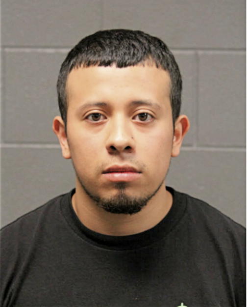 LUIS E PEREZ, Cook County, Illinois