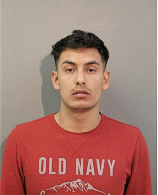 CHRISTIAN F SILVA, Cook County, Illinois
