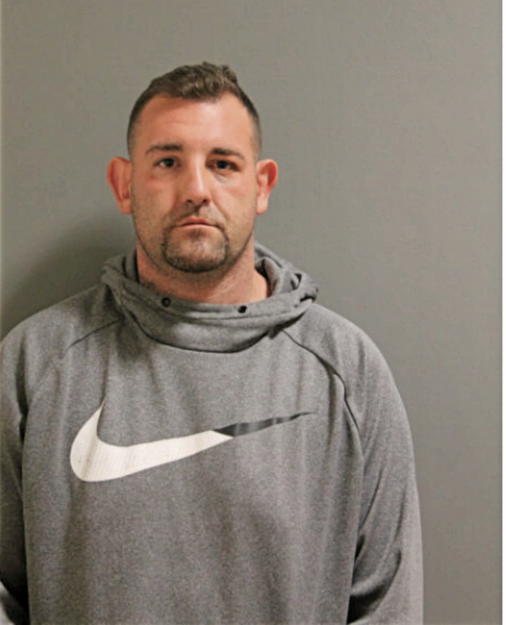 PHILLIP Z TRIANTAFILLO, Cook County, Illinois