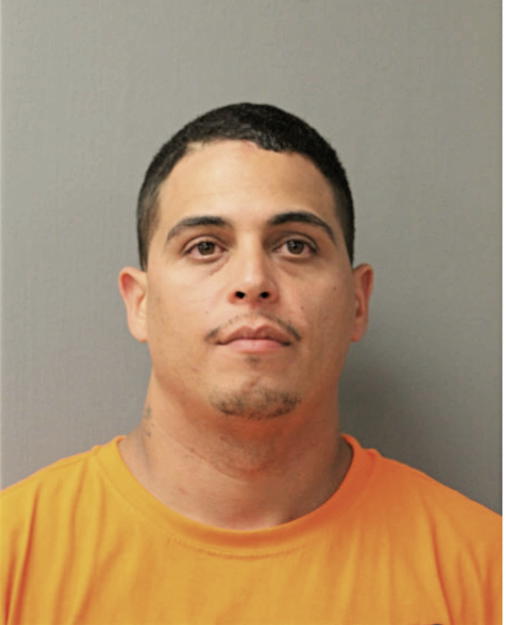 FELIX L VEGA, Cook County, Illinois
