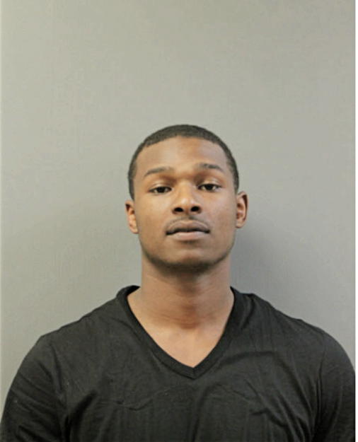 BRANDON X WILLIAMS, Cook County, Illinois