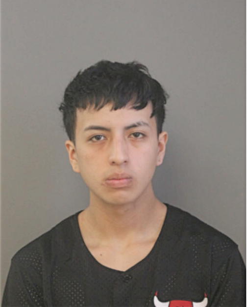 BRYAN F ZHUMILITUMA, Cook County, Illinois