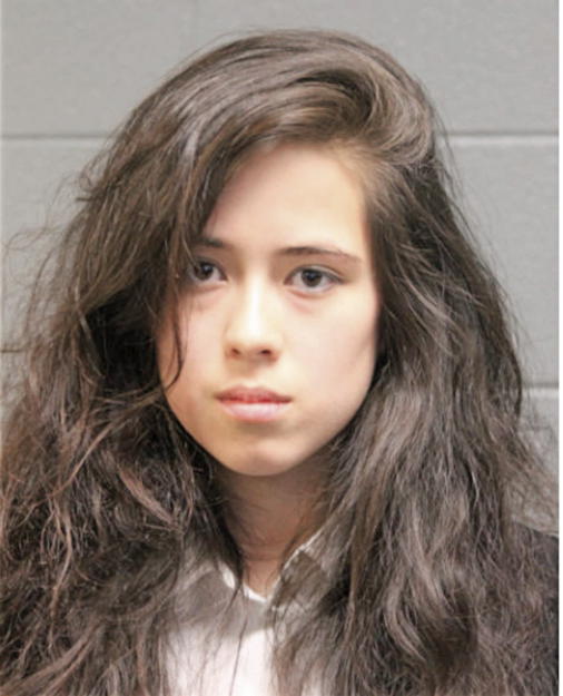 BROOKE ADAMS, Cook County, Illinois