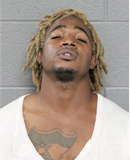 BRADLEY B ALEANIE, Cook County, Illinois