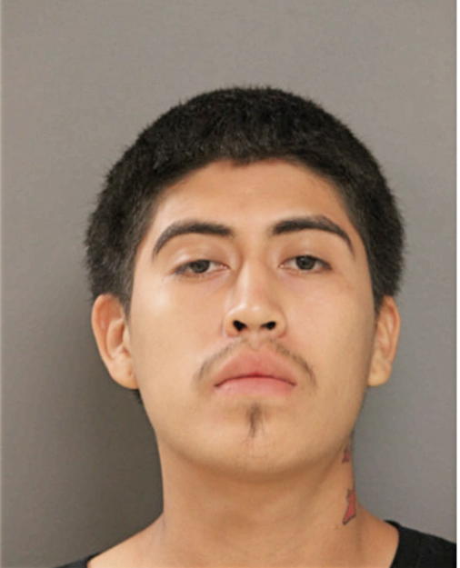OSWALDO A ALVARES, Cook County, Illinois