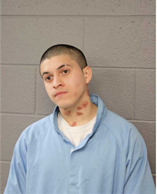 ALEXIS ANDRADE, Cook County, Illinois