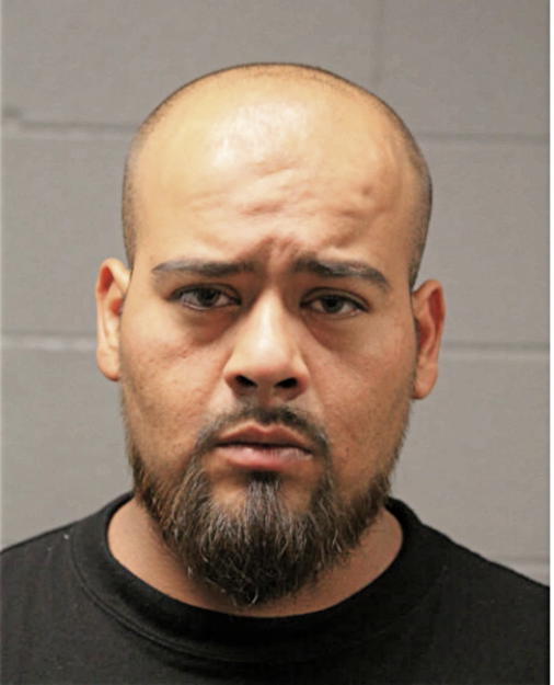 JORGE A ARROYO, Cook County, Illinois