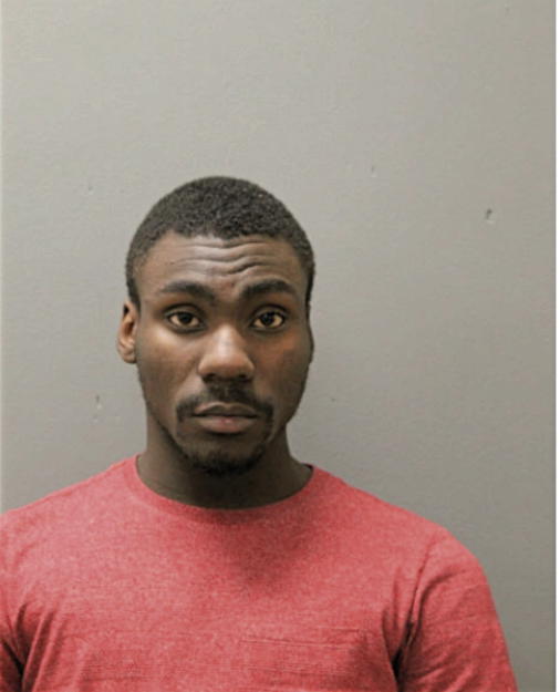 TYRIN D BEECHAM, Cook County, Illinois