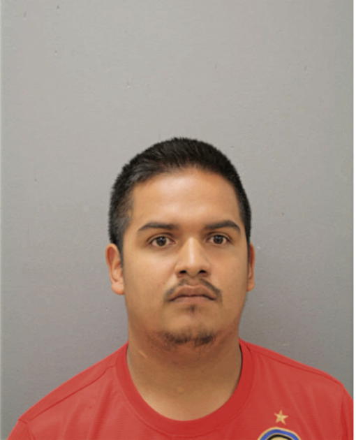 LUIS BRISENO, Cook County, Illinois