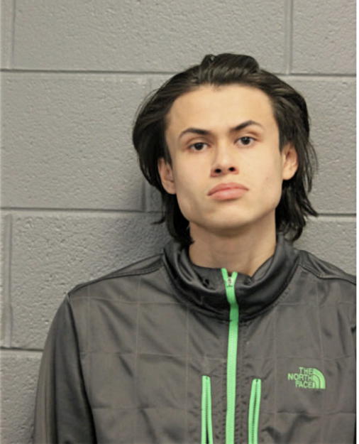 DIEGO CARDENAS, Cook County, Illinois