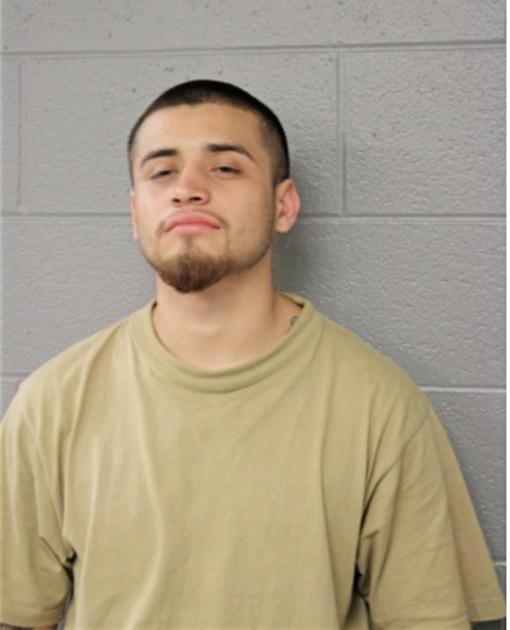 LUIS DUARTE, Cook County, Illinois