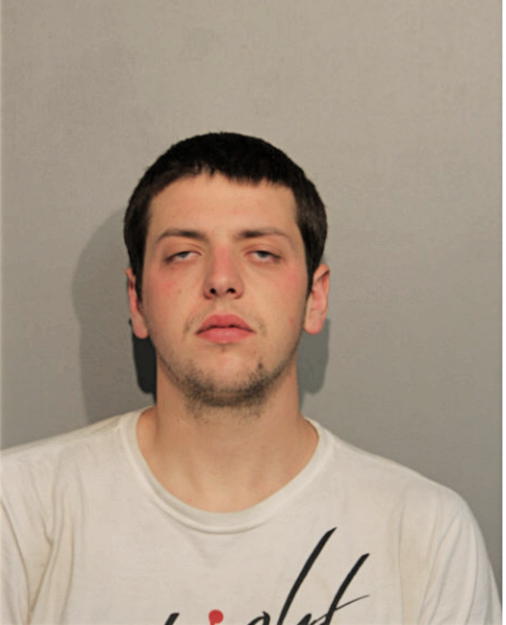 NICHOLAS M GIBSON, Cook County, Illinois