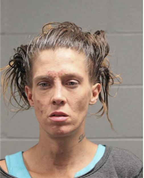 TINA L GODFREY, Cook County, Illinois