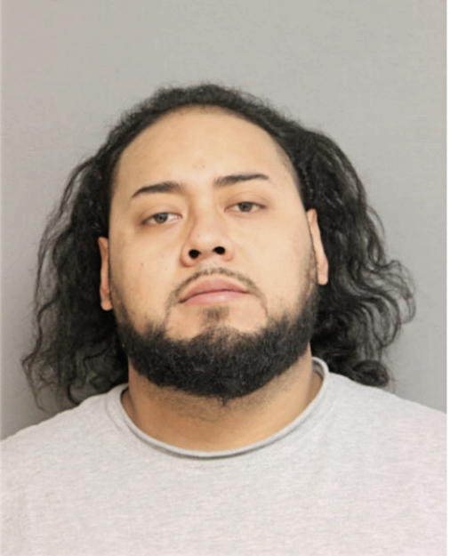 DIEGO L GOMEZ, Cook County, Illinois