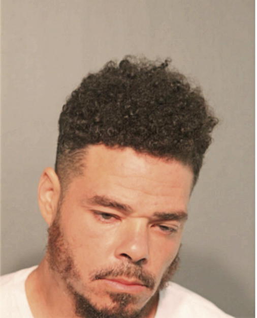 JASON R HAYES, Cook County, Illinois