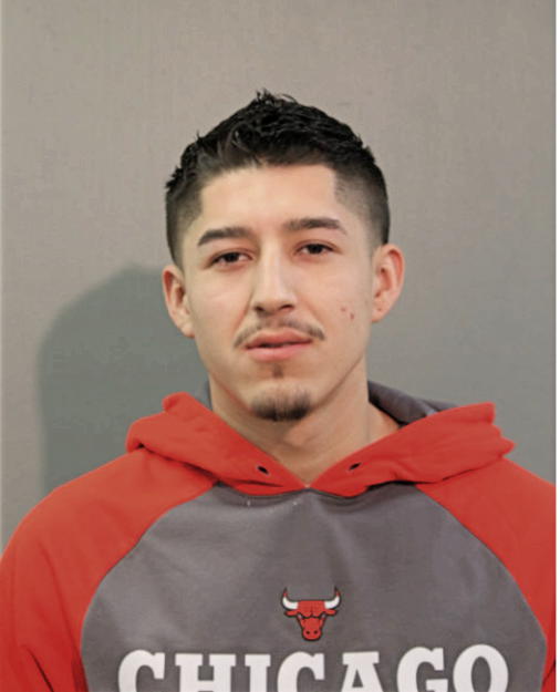 ALEJANDRO HERNANDEZ, Cook County, Illinois