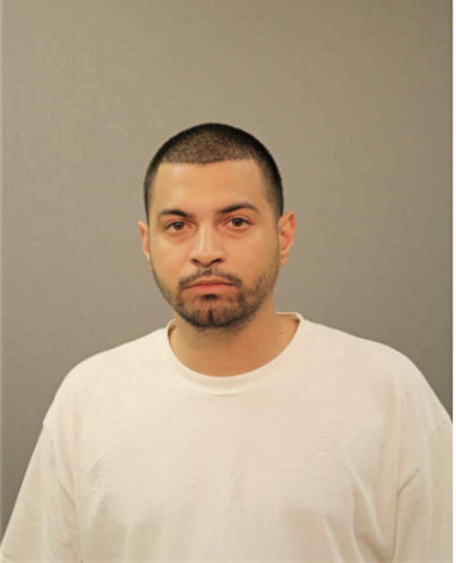 SERGIO R HERNANDEZ, Cook County, Illinois