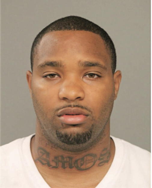 MARIO L HOLLINS, Cook County, Illinois