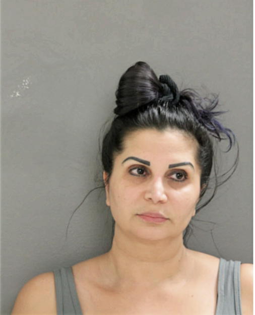 AMANI RAMADAN IBRAHIM, Cook County, Illinois